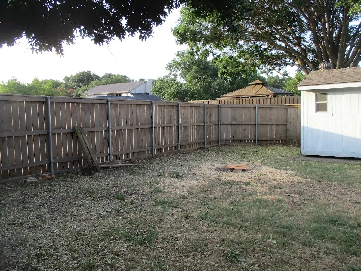 Cleared yard after professional tree removal in Debord