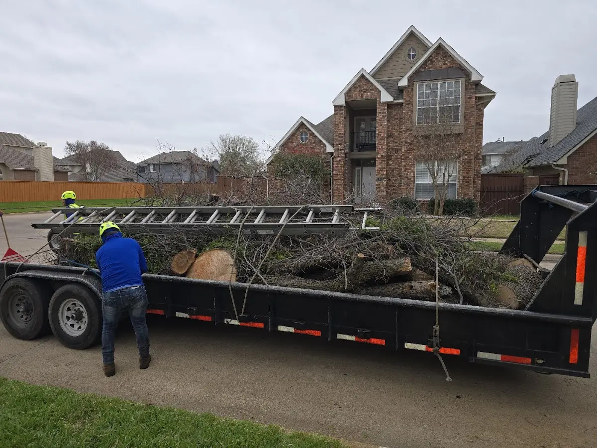 Expert Tree Fertilization with proper safety equipment in Debord